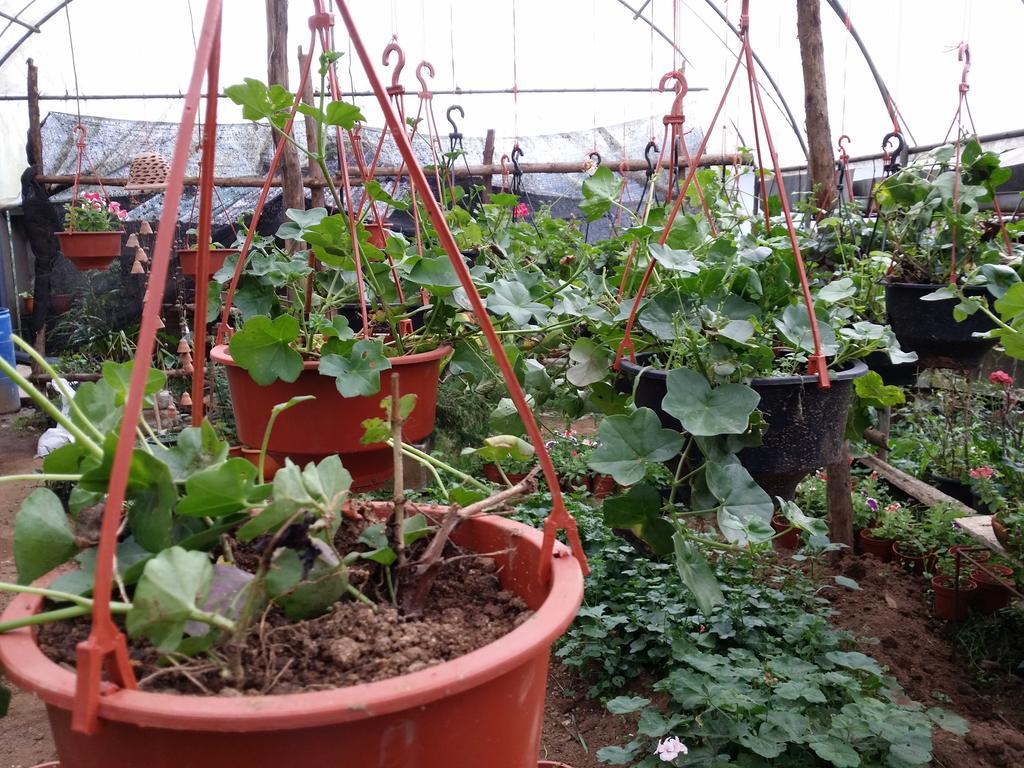 Mangala Flora Hotell Nuwara Eliya Exteriör bild